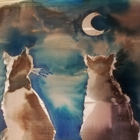 Koty i księżyc (jedwab)